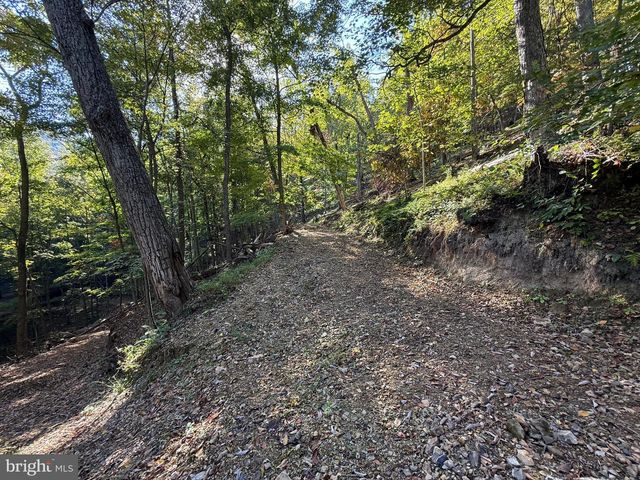 372 PINECONE DR, Purgitsville, WV 26852