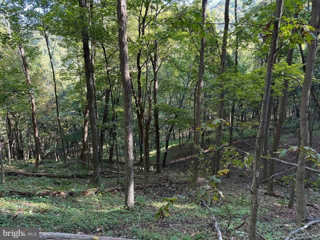 372 PINECONE DR, Purgitsville, WV 26852