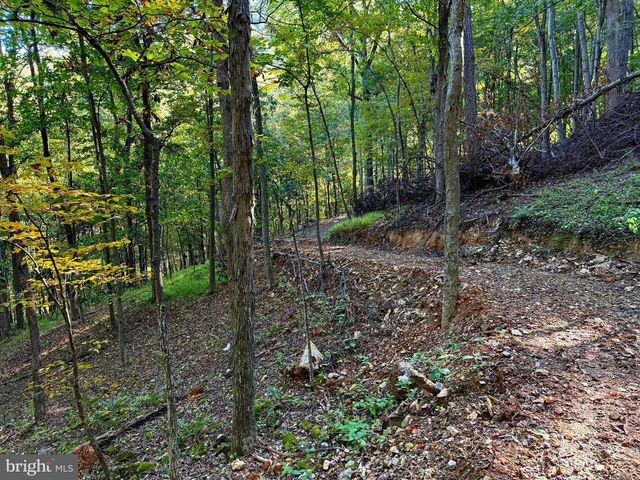 372 PINECONE DR, Purgitsville, WV 26852