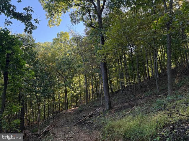 372 PINECONE DR, Purgitsville, WV 26852