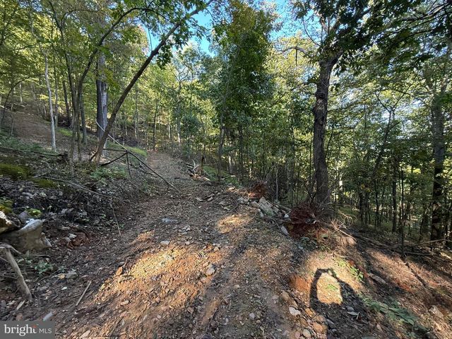 372 PINECONE DR, Purgitsville, WV 26852