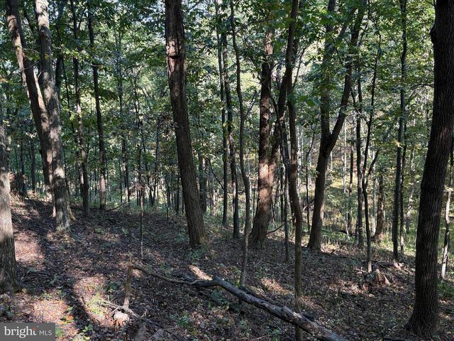 372 PINECONE DR, Purgitsville, WV 26852