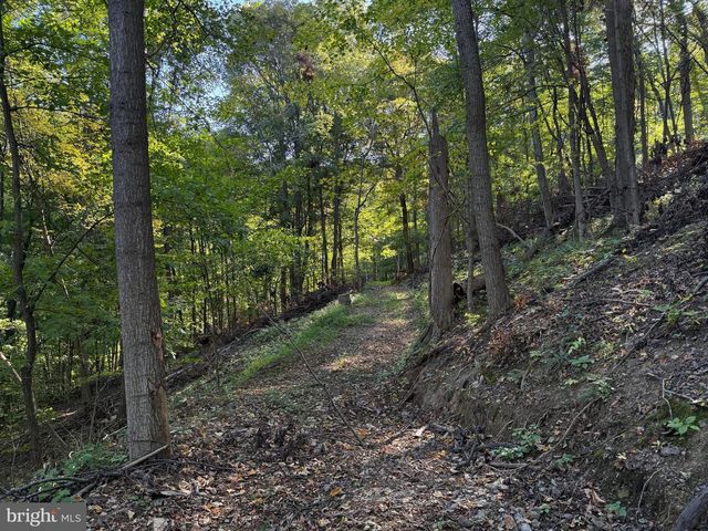 372 PINECONE DR, Purgitsville, WV 26852