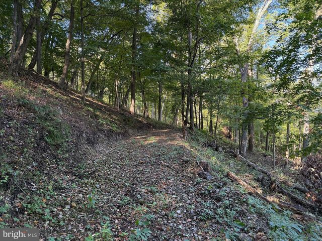 372 PINECONE DR, Purgitsville, WV 26852