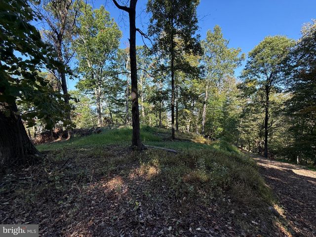 372 PINECONE DR, Purgitsville, WV 26852