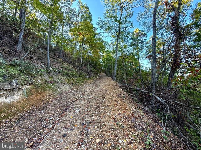 372 PINECONE DR, Purgitsville, WV 26852