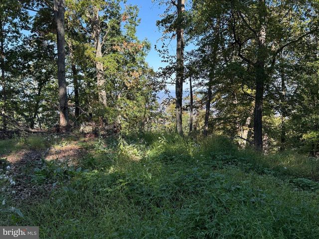 372 PINECONE DR, Purgitsville, WV 26852
