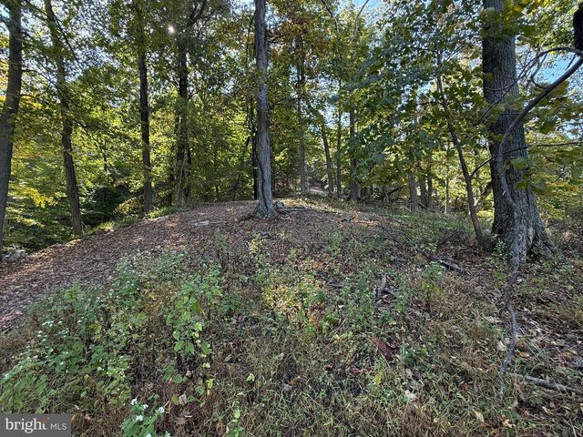 372 PINECONE DR, Purgitsville, WV 26852