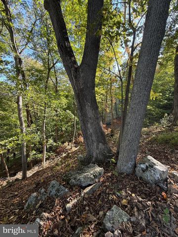 372 PINECONE DR, Purgitsville, WV 26852