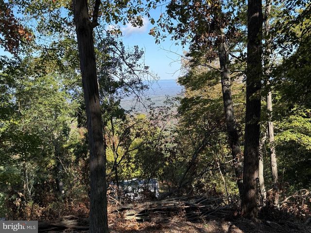 372 PINECONE DR, Purgitsville, WV 26852