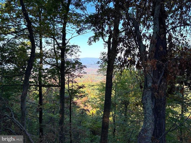 372 PINECONE DR, Purgitsville, WV 26852