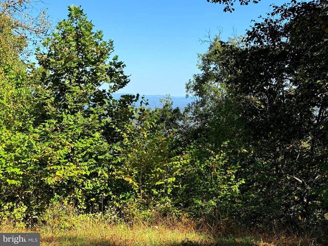 372 PINECONE DR, Purgitsville, WV 26852