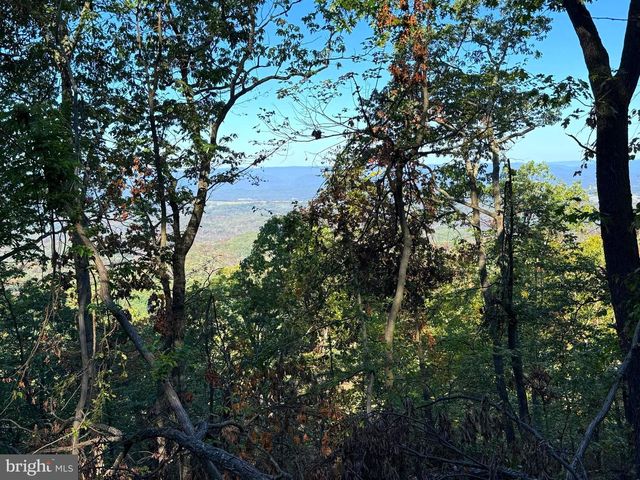 372 PINECONE DR, Purgitsville, WV 26852