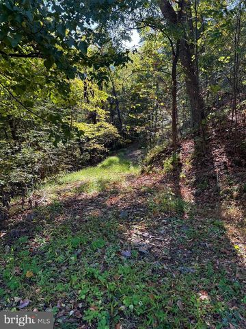 372 PINECONE DR, Purgitsville, WV 26852