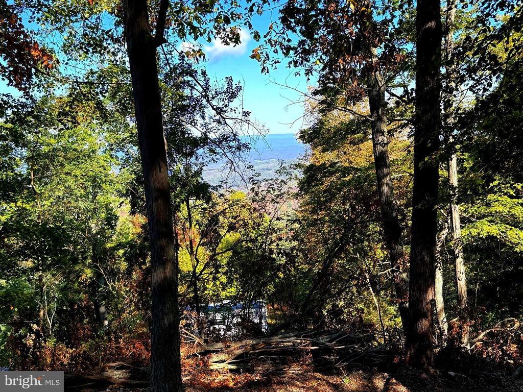 372 PINECONE DR, Purgitsville, WV 26852