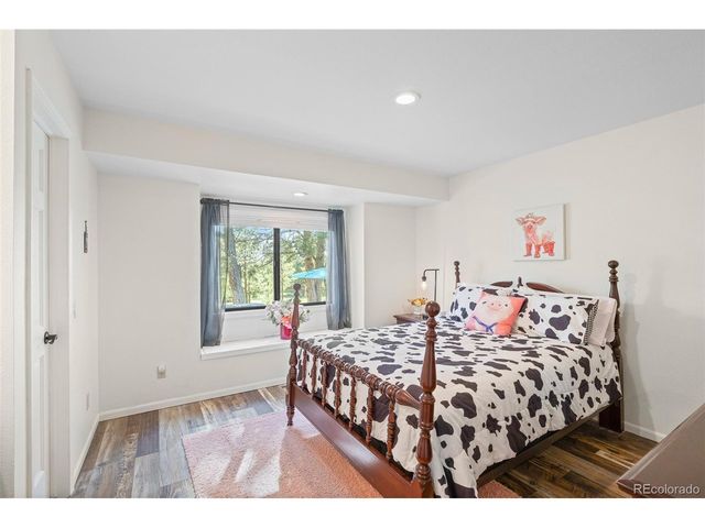9905 Bayou Ridge Trl, Parker, CO 80134