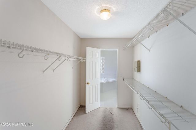 2379 OSPREY LAKE Drive, Jacksonville, FL 32224