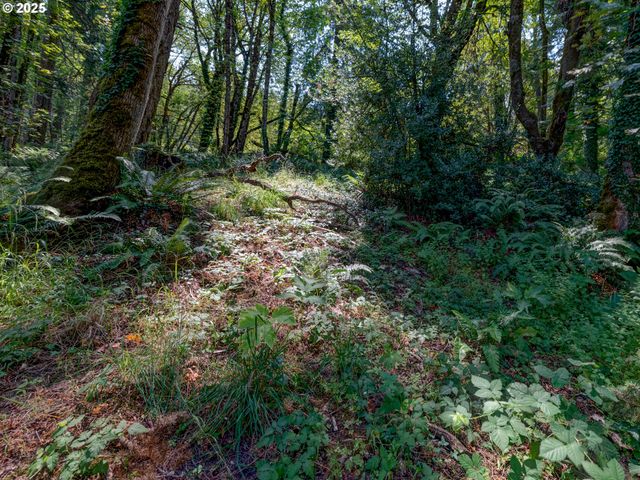 4899 ELVA Ln, Eugene, OR 97405