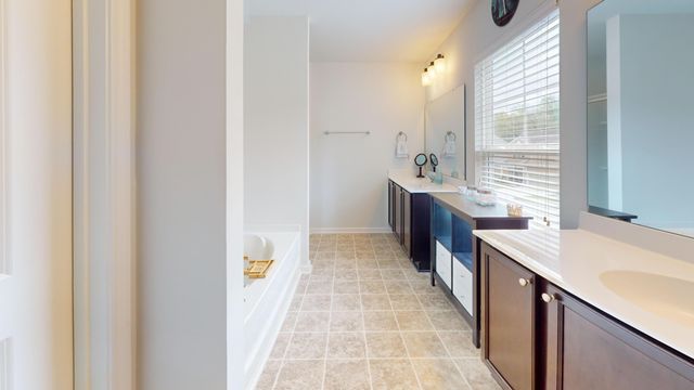 208 Roanoke Hill Court, Summerville, SC 29483