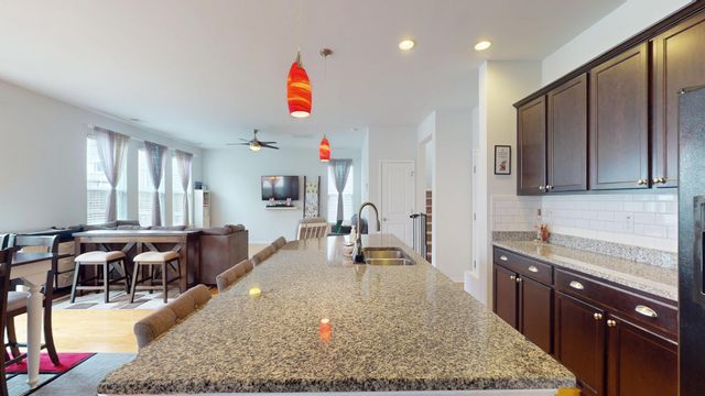 208 Roanoke Hill Court, Summerville, SC 29483