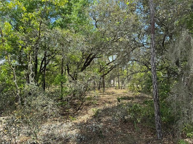 TBD SW BIG BEAR RIDGE, Dunnellon, FL 34431