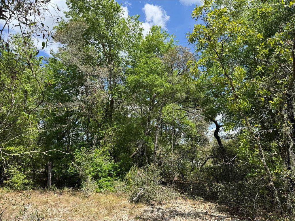 TBD SW BIG BEAR RIDGE, Dunnellon, FL 34431