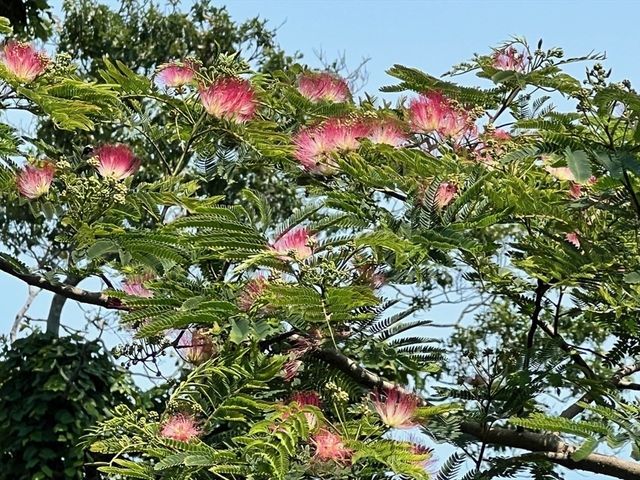 66 Centerville Way, Plymouth, MA 02360