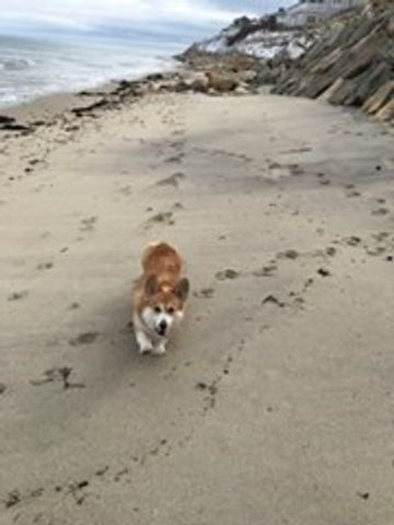 66 Centerville Way, Plymouth, MA 02360