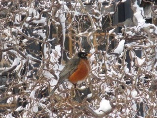 66 Centerville Way, Plymouth, MA 02360