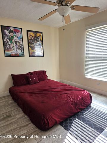 4396 Lamson Avenue, Spring Hill, FL 34608