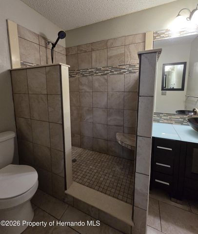 4396 Lamson Avenue, Spring Hill, FL 34608