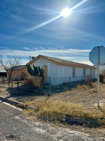411 W Callaghan, Fort Stockton, TX 79735