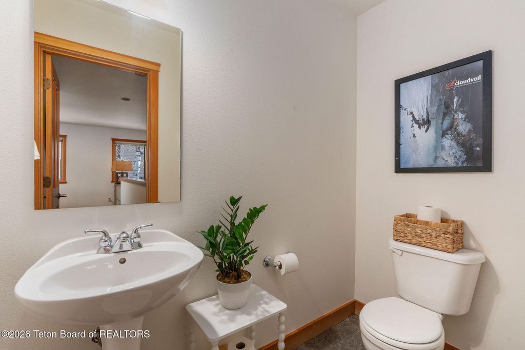 315 PINE Drive, Jackson, WY 83001 photo 14