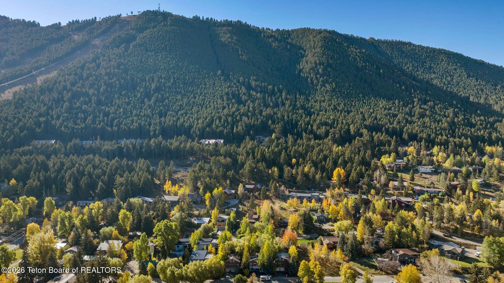 315 PINE Drive, Jackson, WY 83001 photo 2