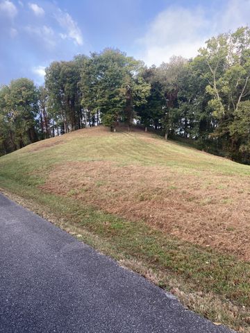 405 Maury Lane, Smithville, TN 37166