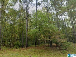 0 COUNTY ROAD 61, Clanton, AL 35046