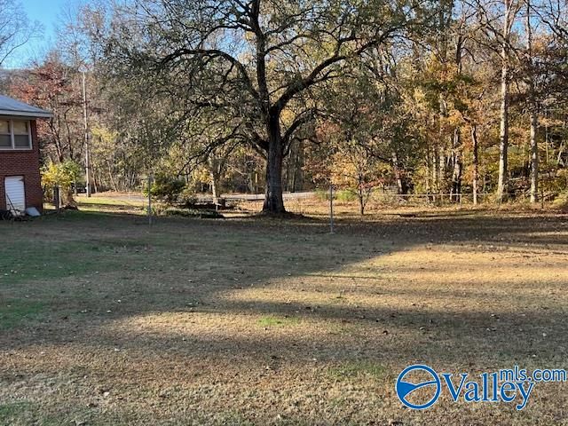 191 Mills Circle, Brownsboro, AL 35741