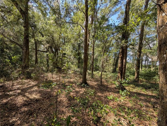 TBD SW 121ST AVENUE, Dunnellon, FL 34432