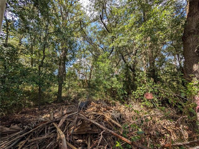 TBD SW 121ST AVENUE, Dunnellon, FL 34432