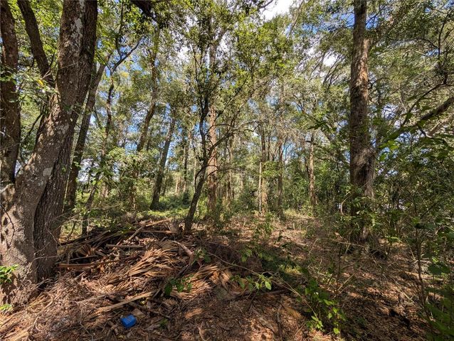 TBD SW 121ST AVENUE, Dunnellon, FL 34432
