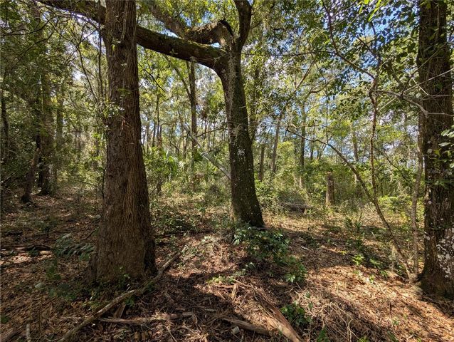 TBD SW 121ST AVENUE, Dunnellon, FL 34432
