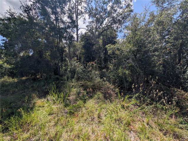 TBD SW 121ST AVENUE, Dunnellon, FL 34432