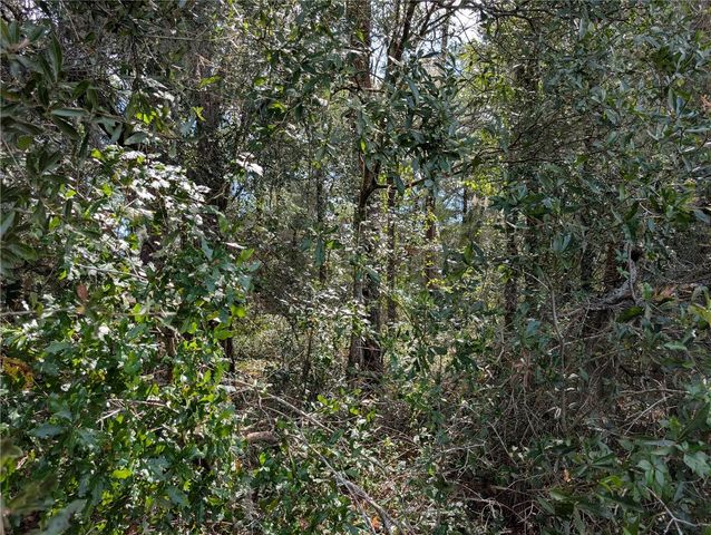 TBD SW 121ST AVENUE, Dunnellon, FL 34432
