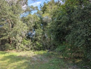 TBD SW 121ST AVENUE, Dunnellon, FL 34432