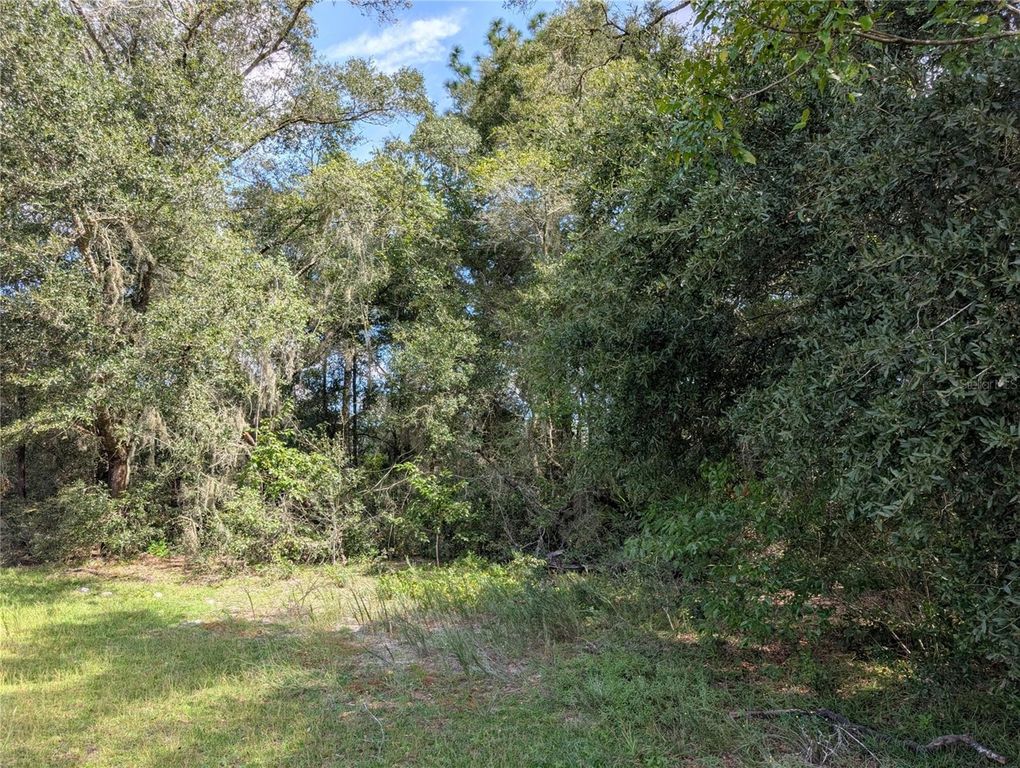 TBD SW 121ST AVENUE, Dunnellon, FL 34432