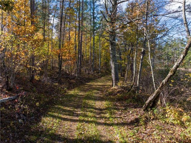 Lot 65 Vasa Road, Hayward, WI 54843