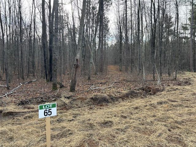 Lot 65 Vasa Road, Hayward, WI 54843