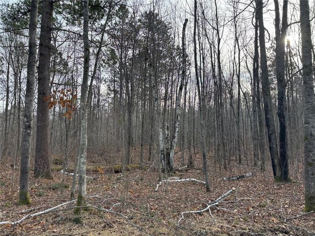 Lot 65 Vasa Road, Hayward, WI 54843