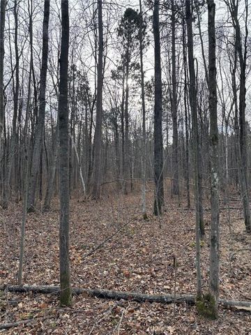 Lot 65 Vasa Road, Hayward, WI 54843