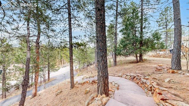 4966 Delaware Drive, Larkspur, CO 80118